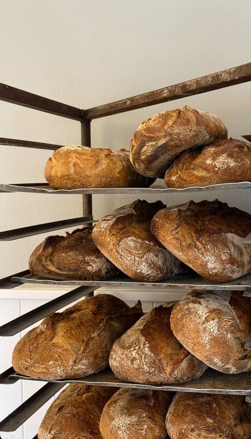 Fresh Sugarmom bread